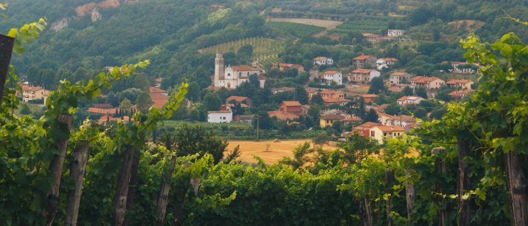 Euganean hills of Abano Terme  